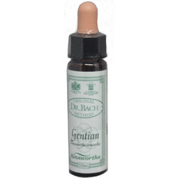 Ainsworths Dr.Bach Gentian Ανθοΐαμα σε Σταγόνες για Αισιοδοξία 10ml