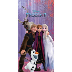 Dimcol Frozen 707 Παιδική Πετσέτα Θαλάσσης Μωβ 70x140cm