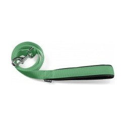 Glee Comfort Λουρί Σκύλου 1.22m x 16mm Πράσινο Mint