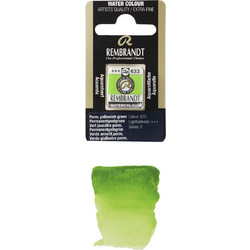 Royal Talens Rembrandt 633 Permanent Yellow Green Νερομπογιά 11-586-633