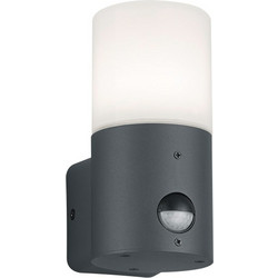 Trio Lighting Hoosic 222260142