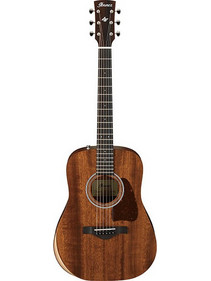 Ibanez AW 54 JR Open Pore Natural