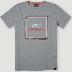 O'Neill Παιδικό T-Shirt Κοντομάνικο Γκρι 4850016-16014
