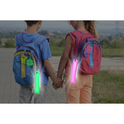 COMPASS 01576 Reflective pendant with carabiner (pink)