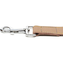 Gloria Pets Oasis Λουρί Σκύλου Δερμάτινο 0.6m x 30mm Μπεζ