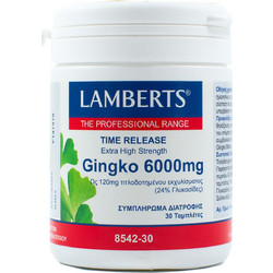 Lamberts Ginkgo Biloba Extract 6000mg 30 Ταμπλέτες