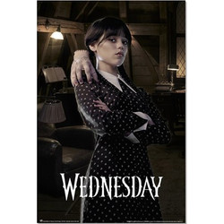Grupo Erik Wednesday - Thing + Wednesday - Poster 61 x 91cm (GPE5749)
