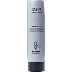 Κρεμοσάπουνο Squeeze σε χρώμα γκρι IGNIS 360ml
