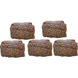 Economy Pack (2τεμ. x 1kgr) Enjoy Adult Cat Multicolor για Ενήλικες Γάτες, με Κοτόπουλο