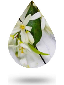 De-stress Blend - 10 ml