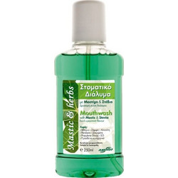 Anemos Μastic & Herbs Στοματικό Διάλυμα 250ml
