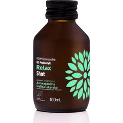 Κομπούχα bio προβιοτικό Relax Ashwagandha & Melissa σφηνάκι Vigo 100ml - Vigo