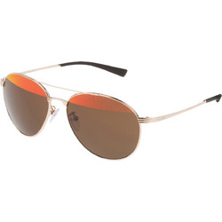 Police PL895 0300 Γυαλιά Ηλίου Aviator Μεταλλικά Χρυσά με Καφέ Polarized Φακό
