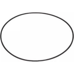 Lid O Ring 2" No4