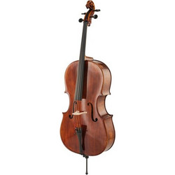 Thomas Stohr Master Professional Montagnana