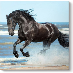 Πίνακας "Black Horse" ψηφιακής εκτύπωσης 60x60x3εκ