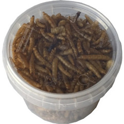 Epigasos Αποξηραμένα Aλευροσκούληκα Mealworm 100ml/20gr