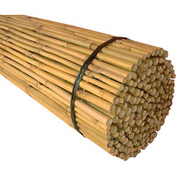 Μπαμπού - Bamboo O 20-25 Καλαμωτή με περαστό σύρμα 150 x 250 εκ. 30274