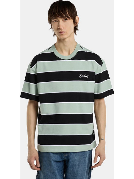 Dickies Embroidery Stripe Ανδρικό T-Shirt DK0A8CVPB871 JADEITE
