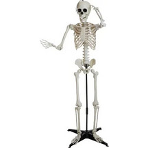 EUROPALMS Σκελετός Halloween, όρθιος, 150 εκ. - OMNITRONIC