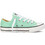 Converse Chuck Taylor All Star 342377C