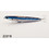 Ima Lures Salt Skimmer Τεχνητό Δόλωμα Ψαράκι 11cm 14gr Z2318