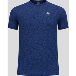Odlo Essential Seamless Ανδρικό Αθλητικό T-Shirt Μπλε 313942-21075