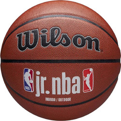 Wilson Jr NBA Fam Logo Auth WZ2018401XB
