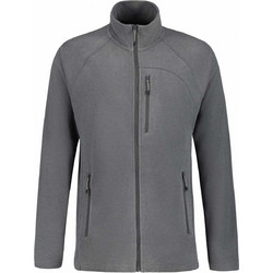 Icepeak Ανδρική Ζακέτα Φούτερ με Φερμουάρ Γκρι 6-57908-598-270