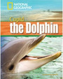 Cupid the Dolphin Cupid the Dolphin