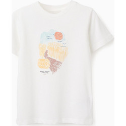 Zippy Παιδικό T-Shirt Κοντομάνικο Λευκό 31071070041