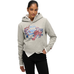 Superdry Tokyo Γυναικείο Αθλητικό Φούτερ με Κουκούλα Γκρι W2012406A-07Q