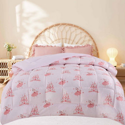 Astron Παιδικό Κουβερτοπάπλωμα Μονό Microfiber 160x220 Princess
