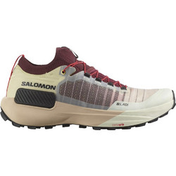 Salomon Genesis Ανδρικά Αθλητικά Παπούτσια Trail Running Μπεζ L47722600