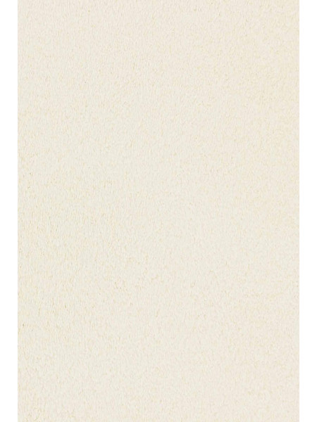 Angelo Faux Silk Zen Χαλί Ορθογώνιο 300x400cm 5575-03 Ivory