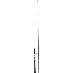 Ecooda Cyan Blue ECBSP-82H Καλάμι Ψαρέματος για Spinning Carbon Δίσπαστο 2.49m 40-120gr