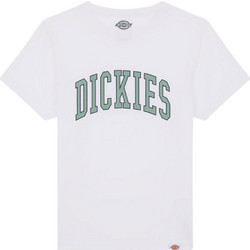 Dickies Παιδικό T-Shirt Κοντομάνικο Λευκό Πράσινο Mint DK0A4Z8O0WH1