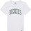 Dickies Παιδικό T-Shirt Κοντομάνικο Λευκό Πράσινο Mint DK0A4Z8O0WH1