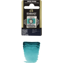 Royal Talens Rembrandt 640 Bluish Green Νερομπογιά 11-586-640