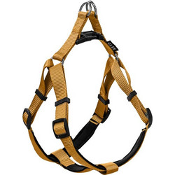 Glee Neoprene Σαμαράκι Σκύλου Ιμάντας Πορτοκαλί Medium