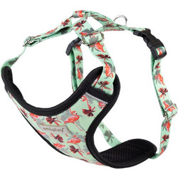 Amiplay Be Happy Flamingo Σαμαράκι Σκύλου Γιλέκο Πράσινο Mint Medium