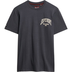 Superdry Ανδρικό Αθλητικό T-Shirt Ανθρακί M1012250A-8IN