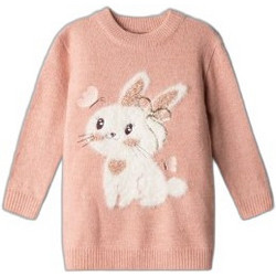 Ebita Παιδικό Πουλόβερ Μακρυμάνικο Σομόν 267294