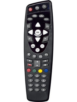 NV1
