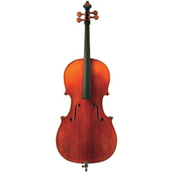 Gewa Maestro 31