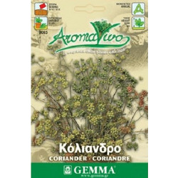 Σπόρος Κόλιανδρος