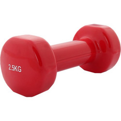 Welfit W3203-2.5 2.5kg