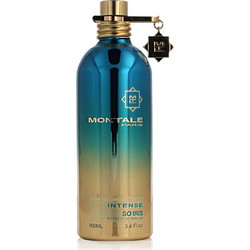 Montale Intense So Iris Pure Parfum 100ml