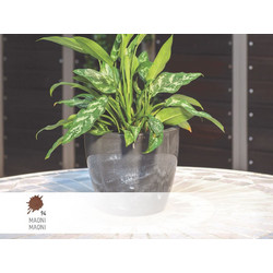 Κασπώ στρογγυλό Linea Natura No 862.5-94 Φ30x25cm Maoni