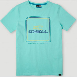 O'Neill Παιδικό T-Shirt Κοντομάνικο Μπλε 4850016-18013